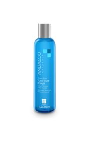 Andalou Naturals Willow Bark Pore Minimizer (1x6 Oz)