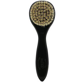 BASS BRUSH FACIAL CLNSNG ( 1 X 1 CT   )